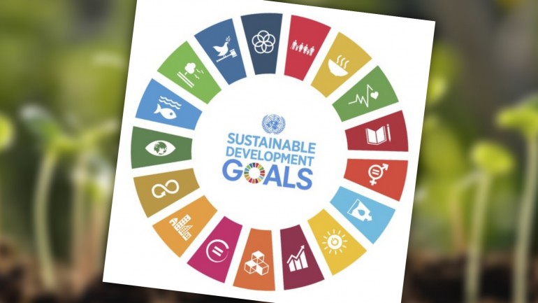 inbioar ODS Sustainable Development Goals (UN)