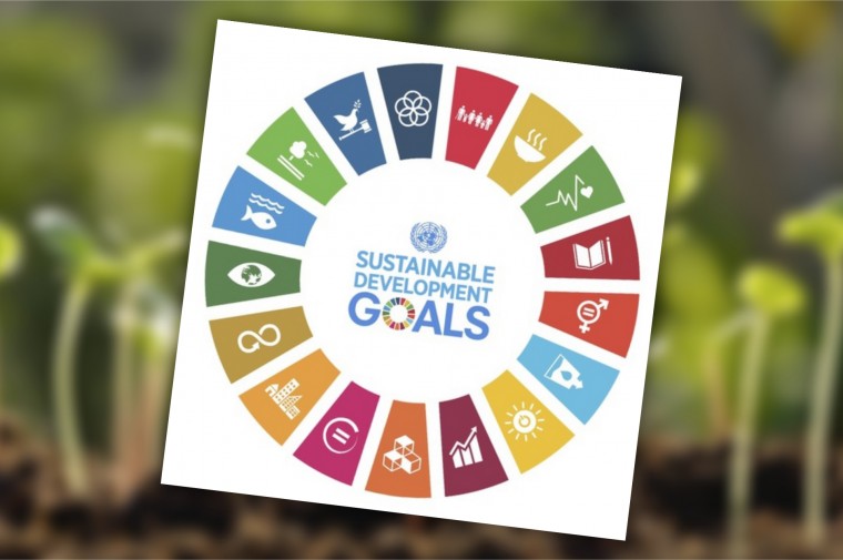 Sustainable Development Goals Un Inbioar